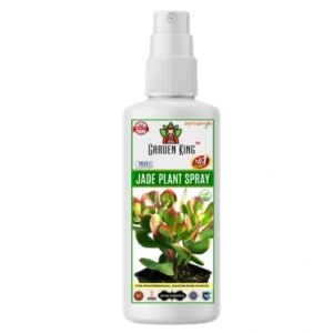 Garden King Jade Plant Spray