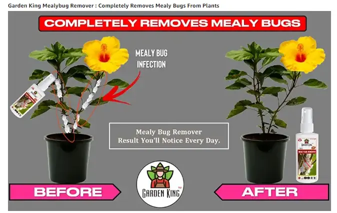 Garden King Mealy Bug Remover Spray From Sansar Green