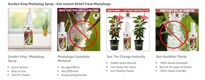 Garden King Mealy Bug Remover Spray From Sansar Green