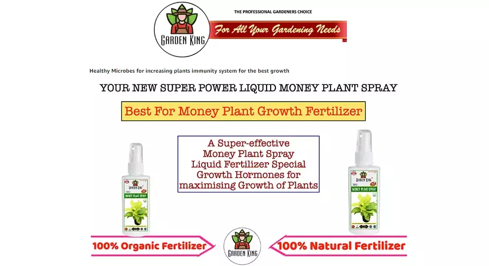 Sansar Green Money Plant Liquid Spray From Sansar Green