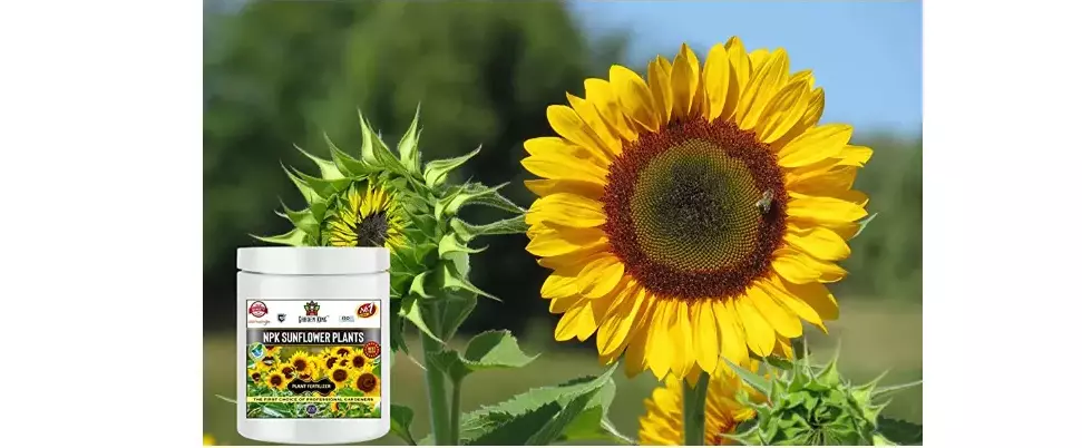 Garden King NPK For Sunflower Plant 