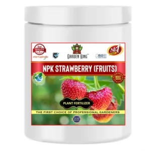 NPK for Strawberry Fruit Fertilizer From Sansar Green